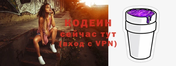 МДПВ Вяземский