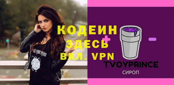 МДПВ Вяземский