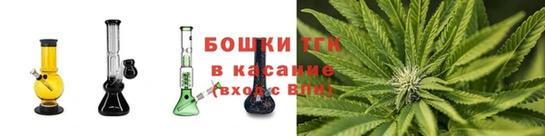 шишки Вязьма