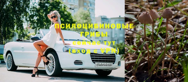 шишки Вязьма