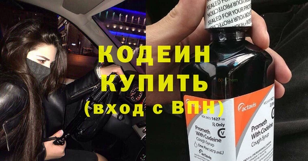 шишки Вязьма