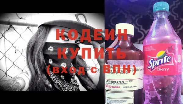 МДПВ Вяземский