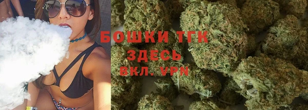 МДПВ Вяземский