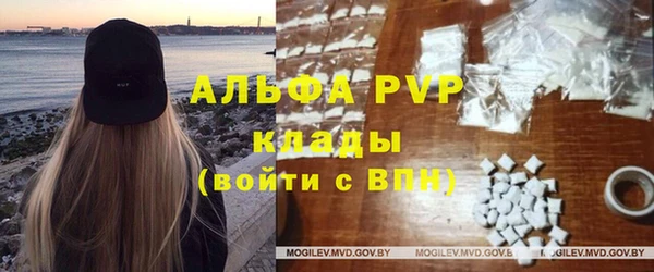 МДПВ Вяземский