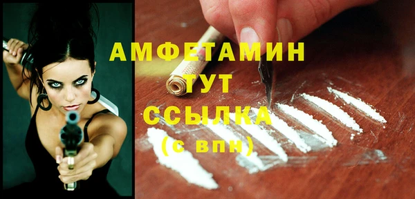 МДПВ Вяземский