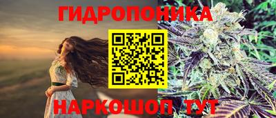 герыч Донецк