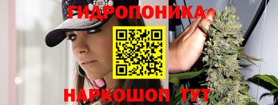 метадон Дубна