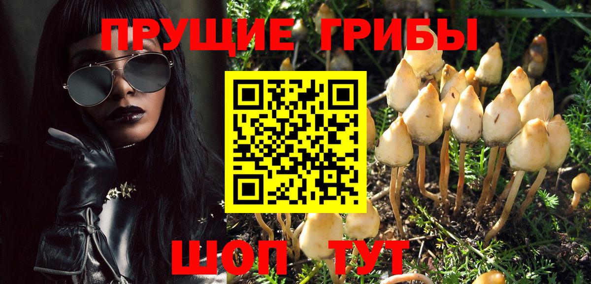 Галлюциногенные грибы Magic Shrooms Гудермес