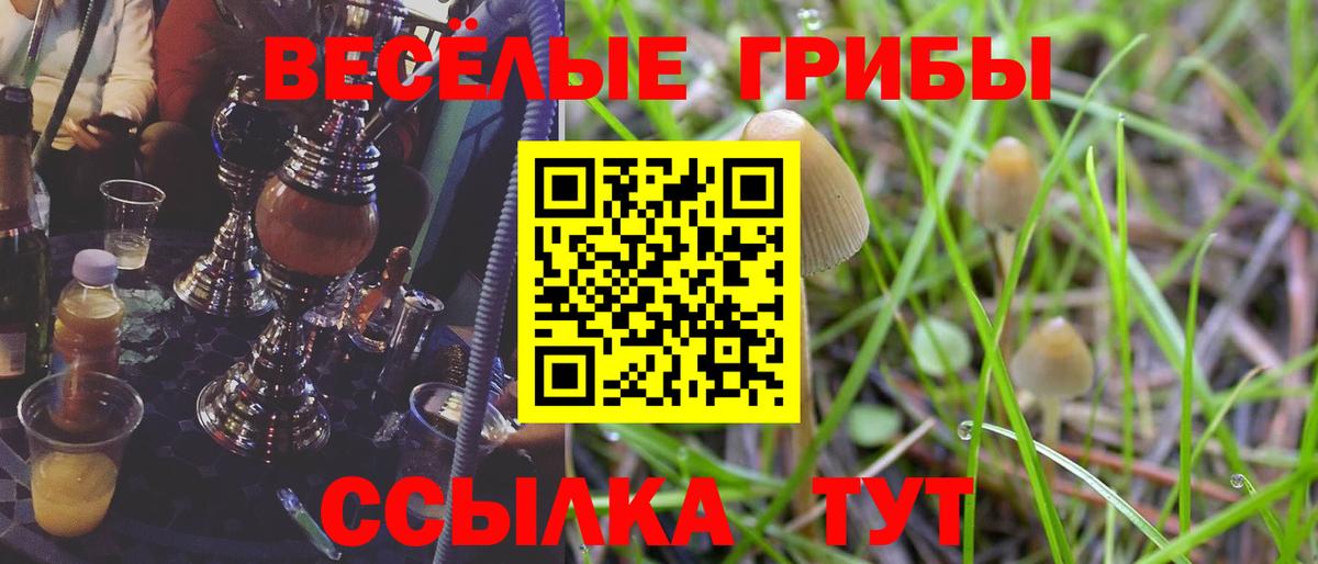 Гудермес  Галлюциногенные грибы ЛСД  Вход с VPN  Галлюциногенные грибы Psilocybe 